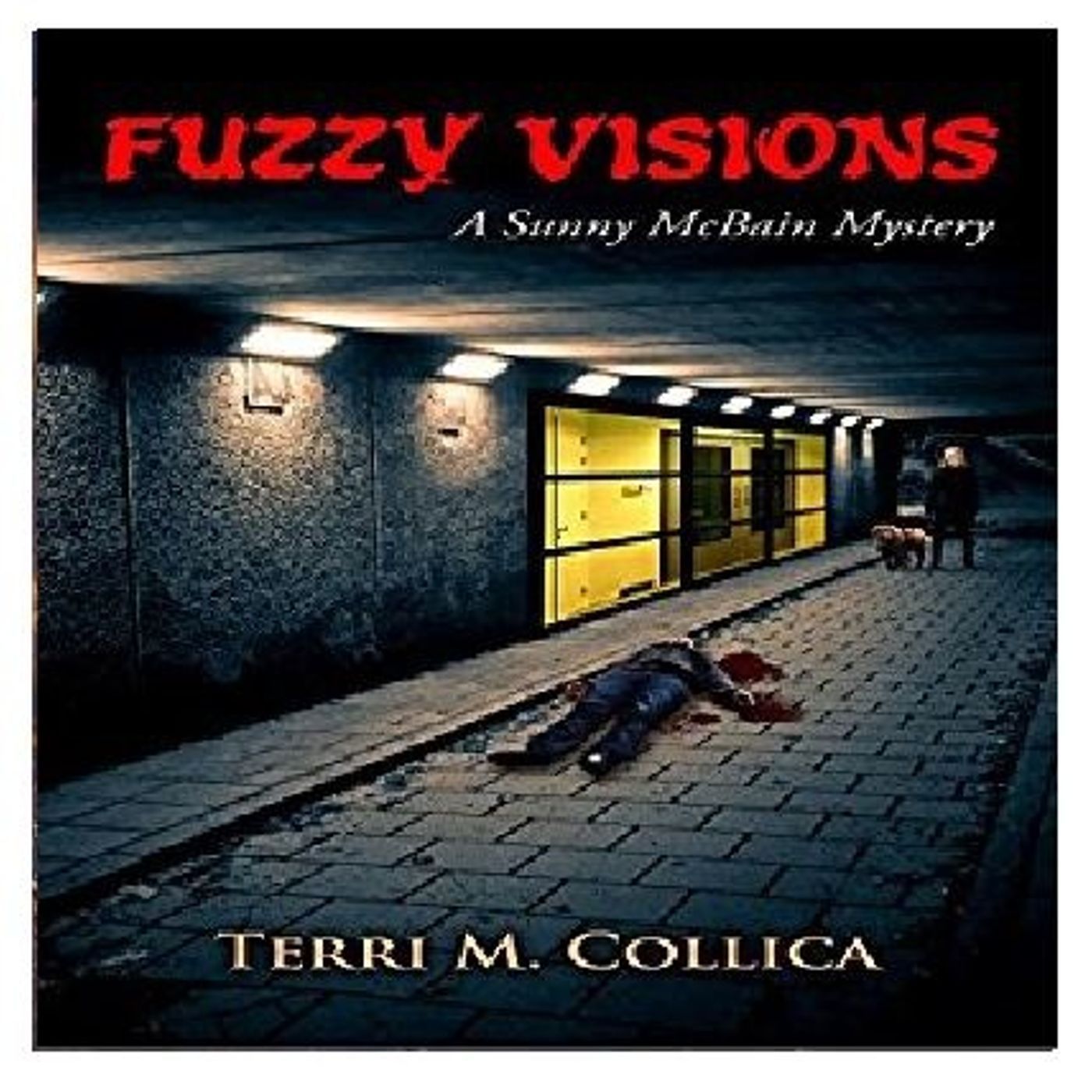 Fuzzy Visions By Terri M Collica Narrated By Angel Clark episode artwork