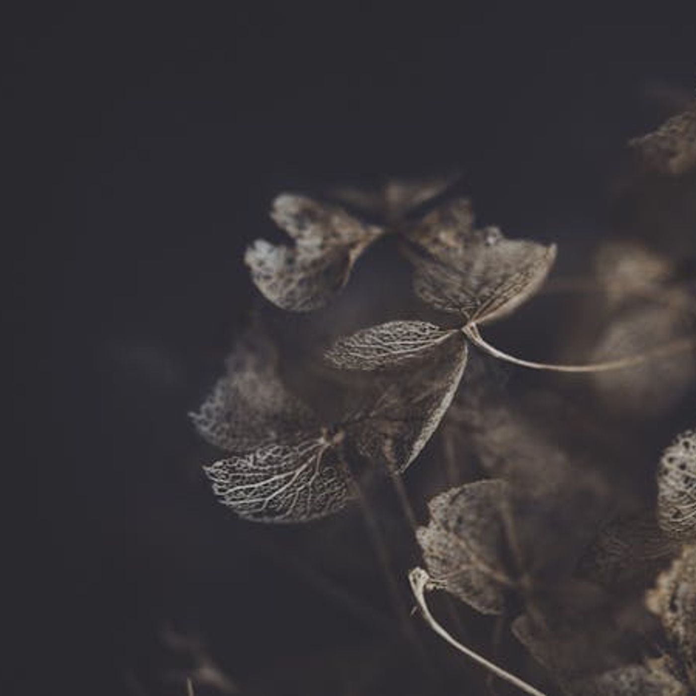 Reckoning with Personal Failure