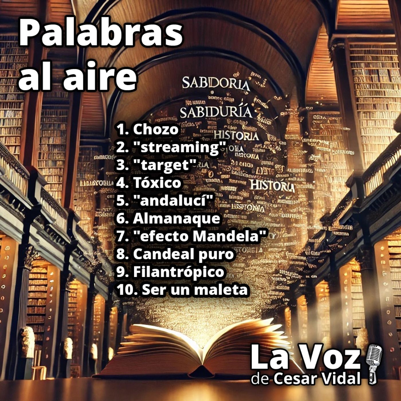 Palabras al aire - 08/12/25 episode artwork