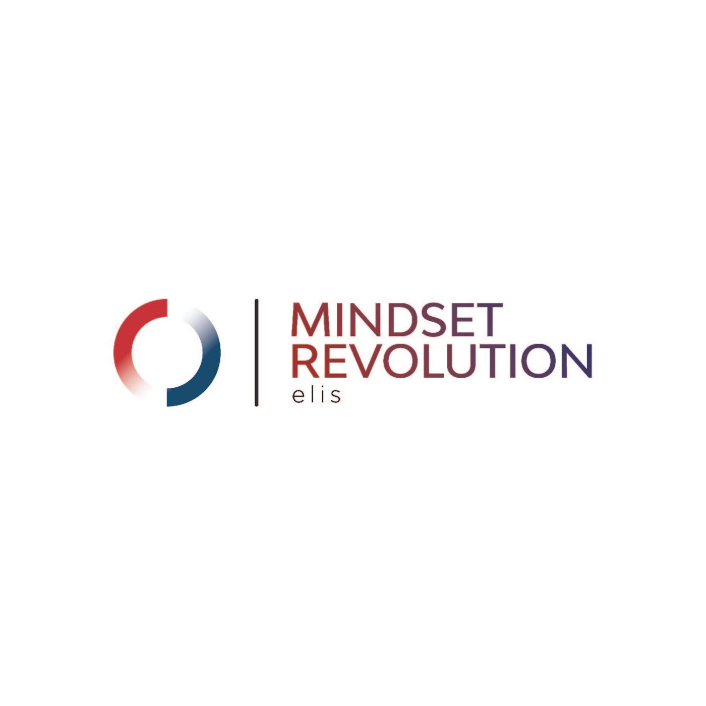 Visualizzazione Guidata_MindsetRevolution_HDM
