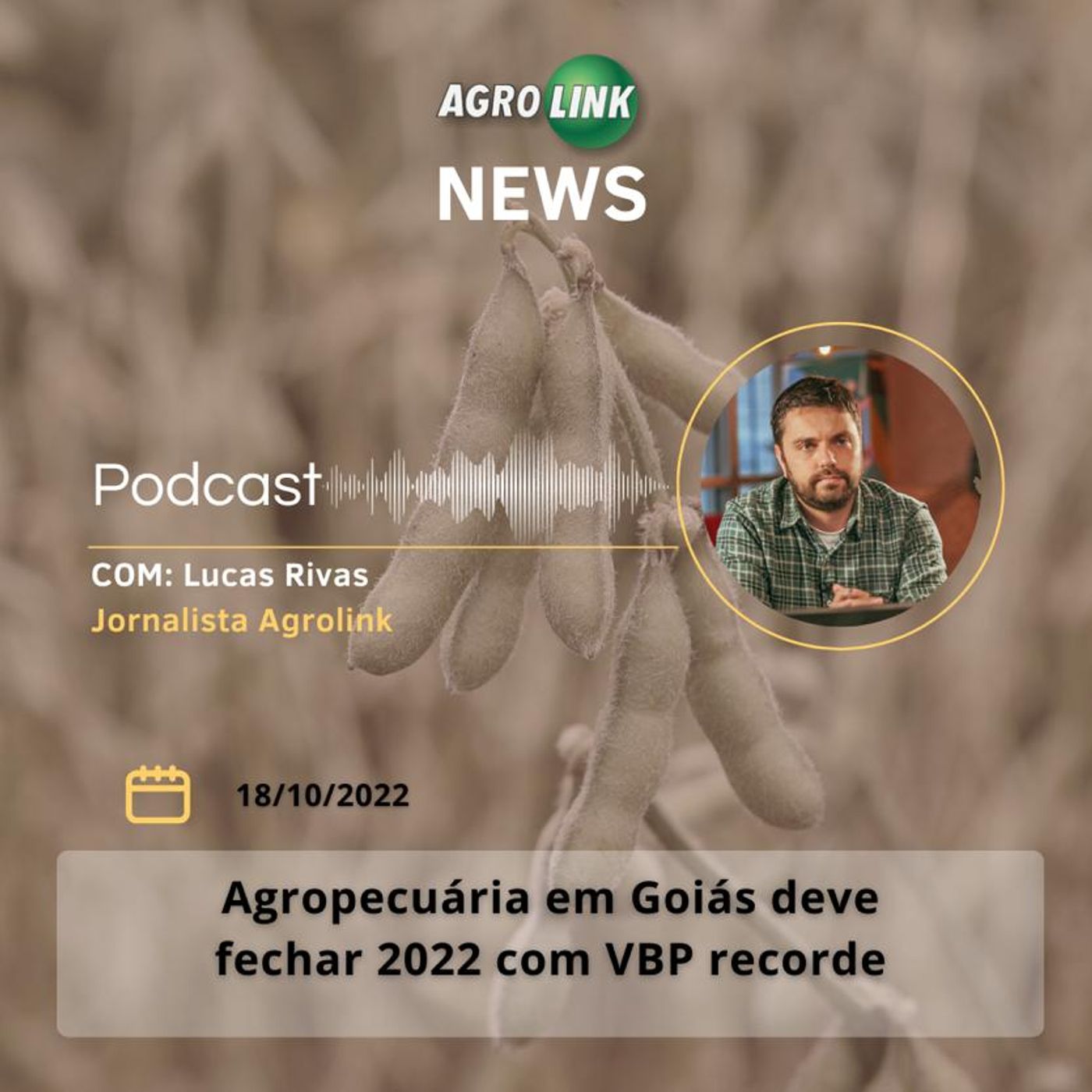 Excesso de chuvas prejudica desenvolvimento agrícola no Paraná episode artwork