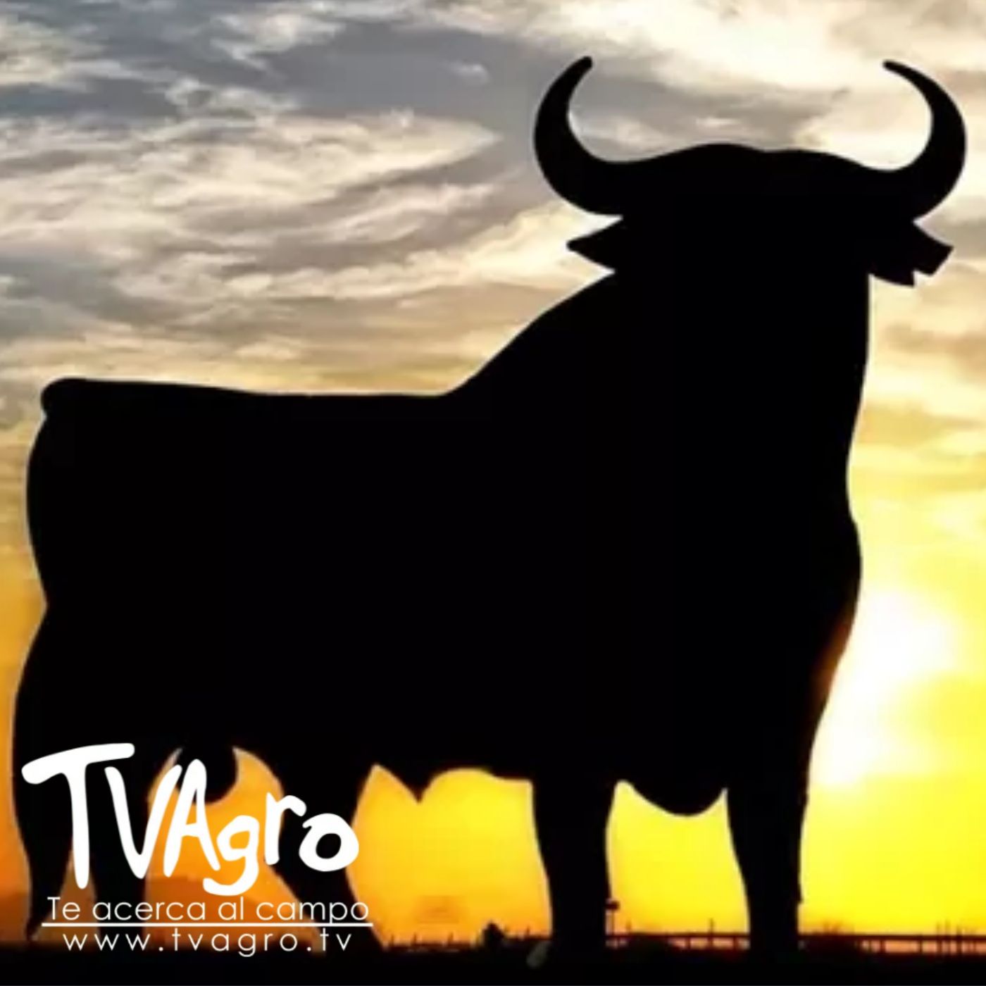 TV AGRO
