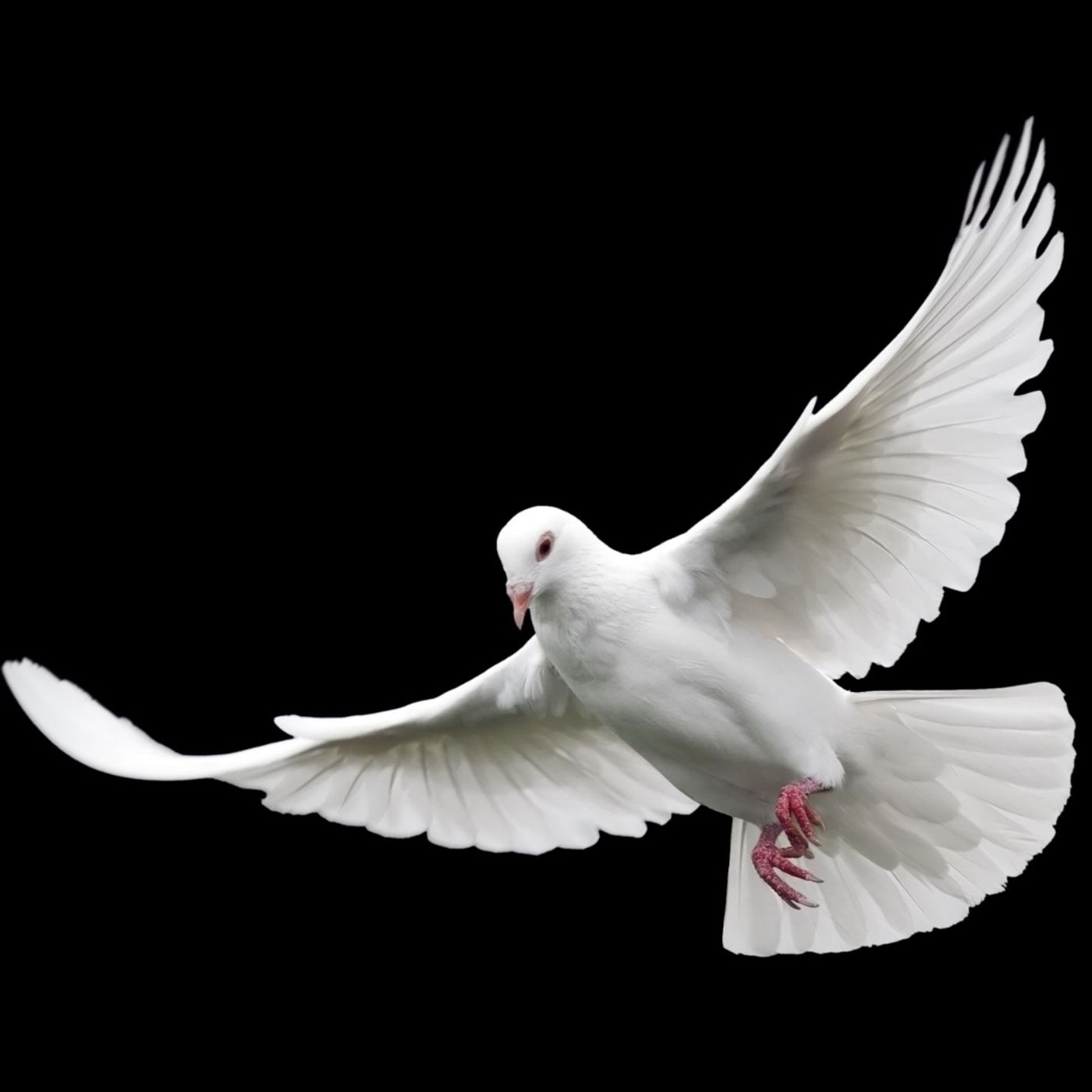 Adam, Eve, & The Serpent: A Threesome? Adam, Eve, & The Serpent: A Threesome?