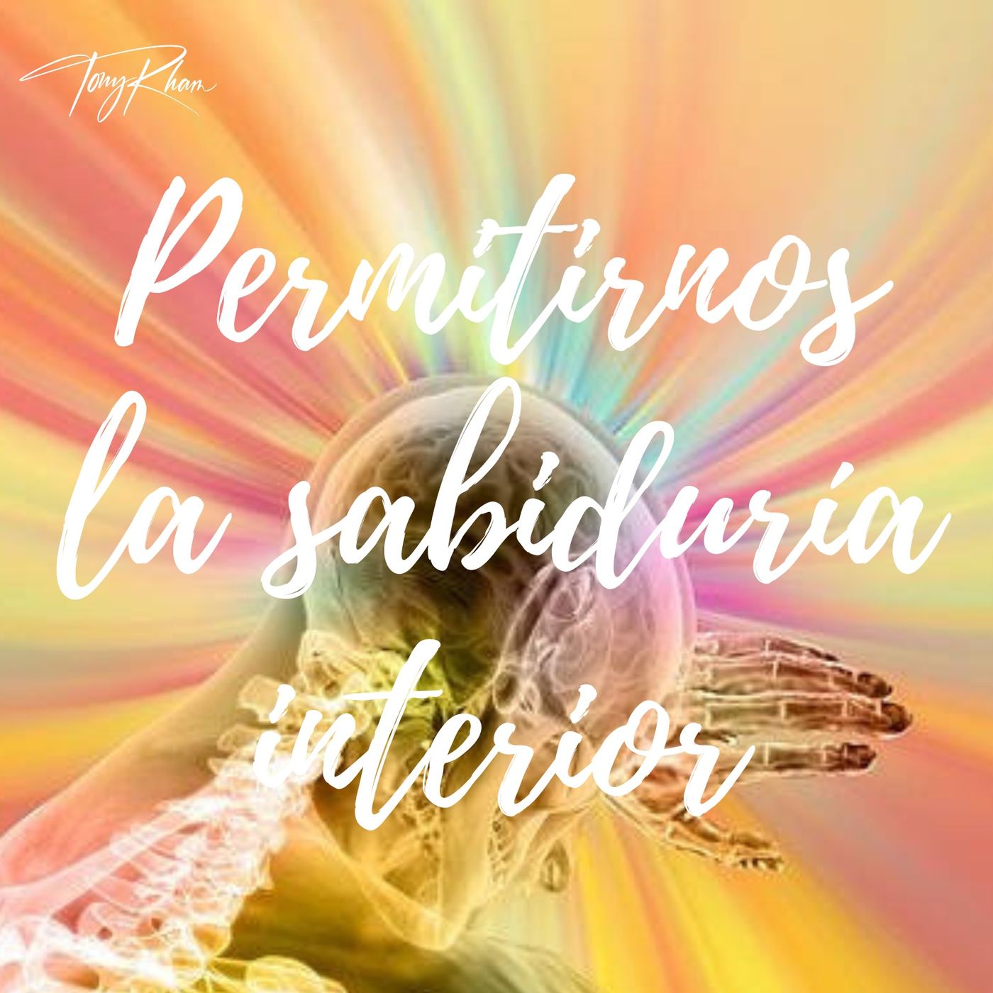 Meditación Guiada Permitirnos La Sabiduría Interior