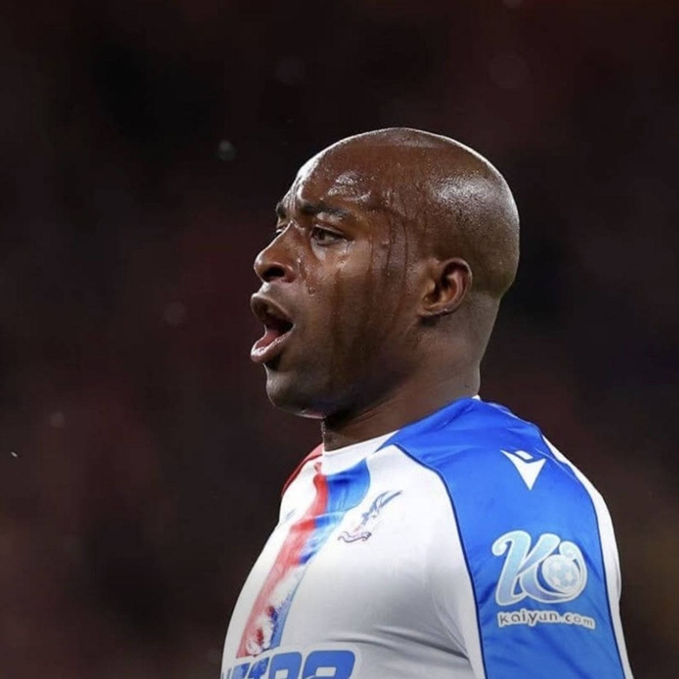 The Football Referee