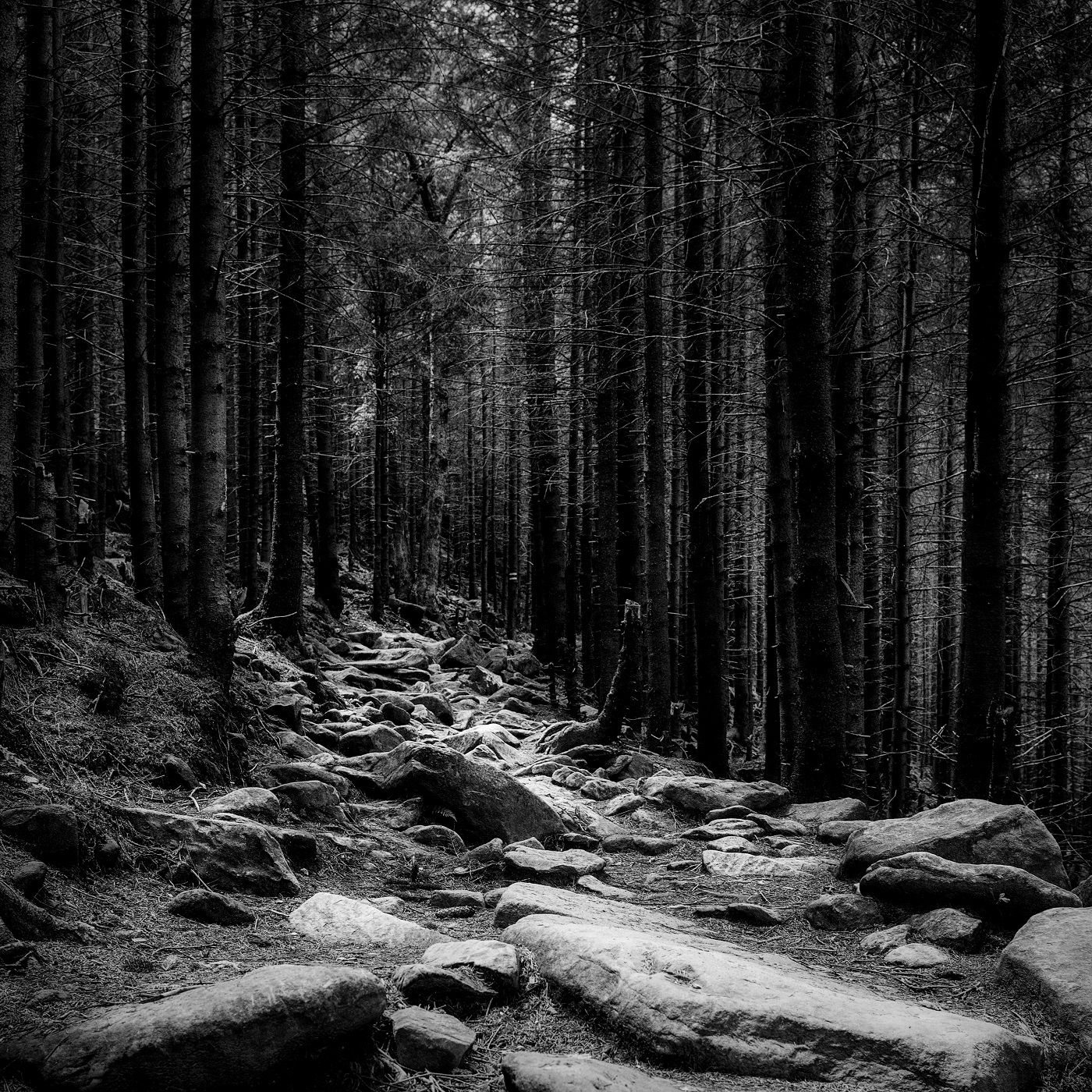 No Pasen Por Ese Camino