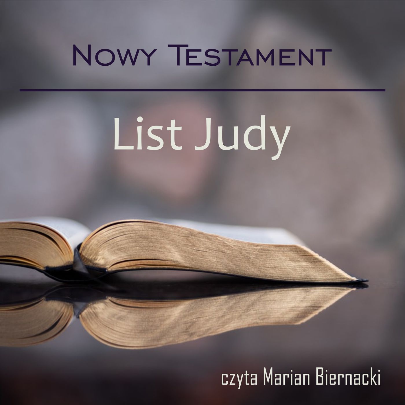 Biblia Audio Nowy Testament