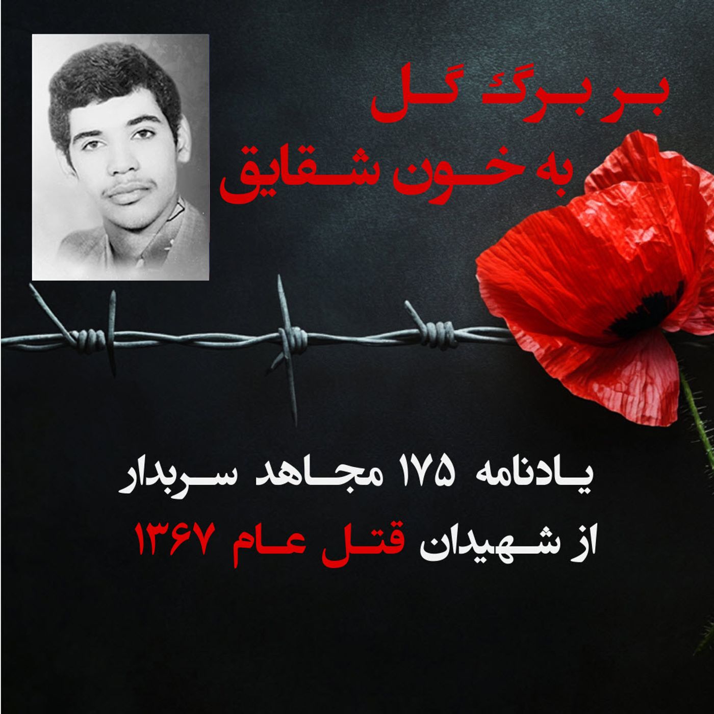 بربرگ گل به  خون شقایق-محمد رود