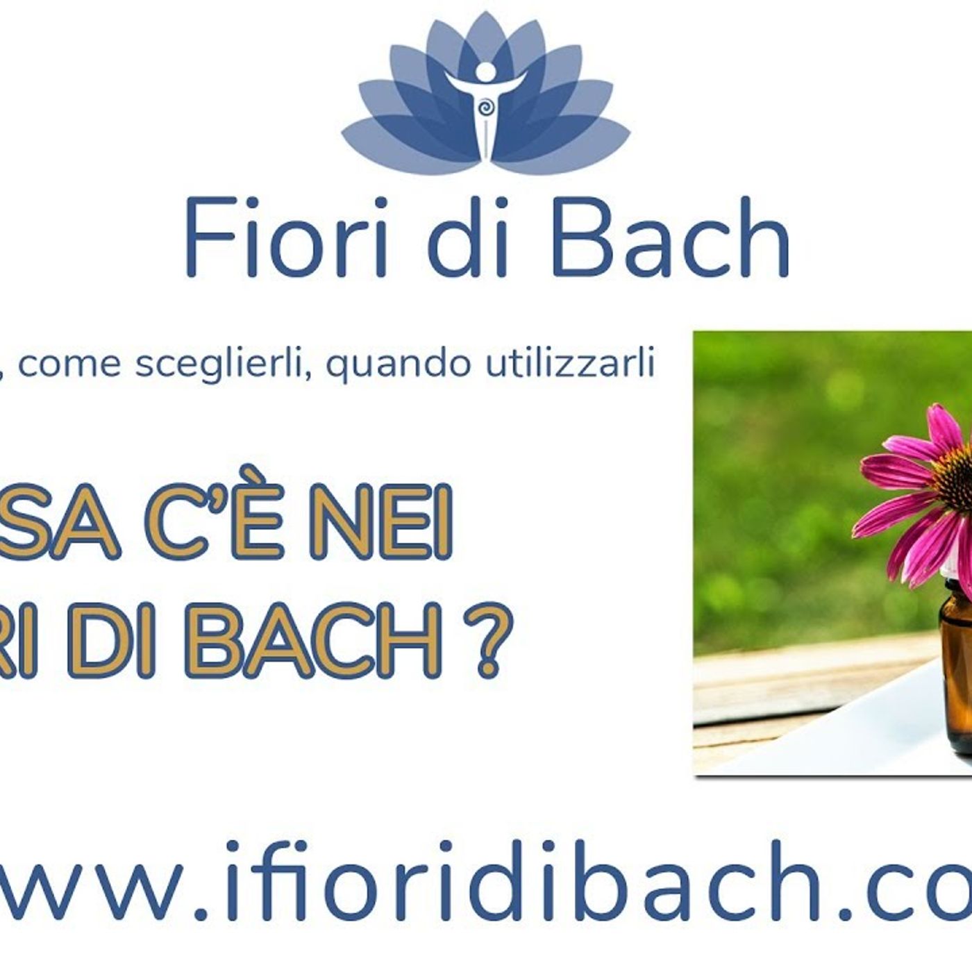 Cosa c'è nei fiori di Bach? episode artwork