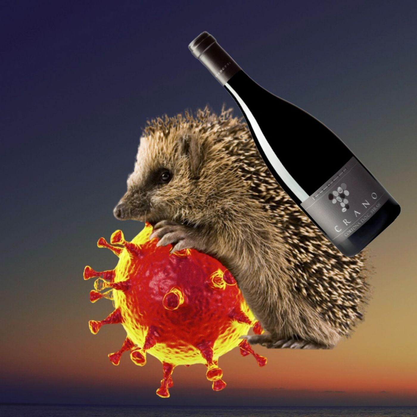 Le Pigne in Testa