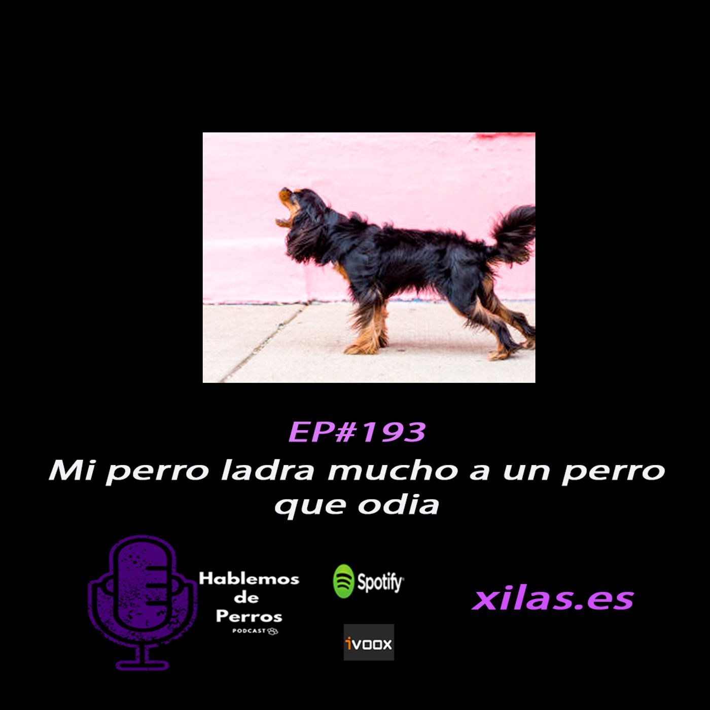 Hablemos de perros