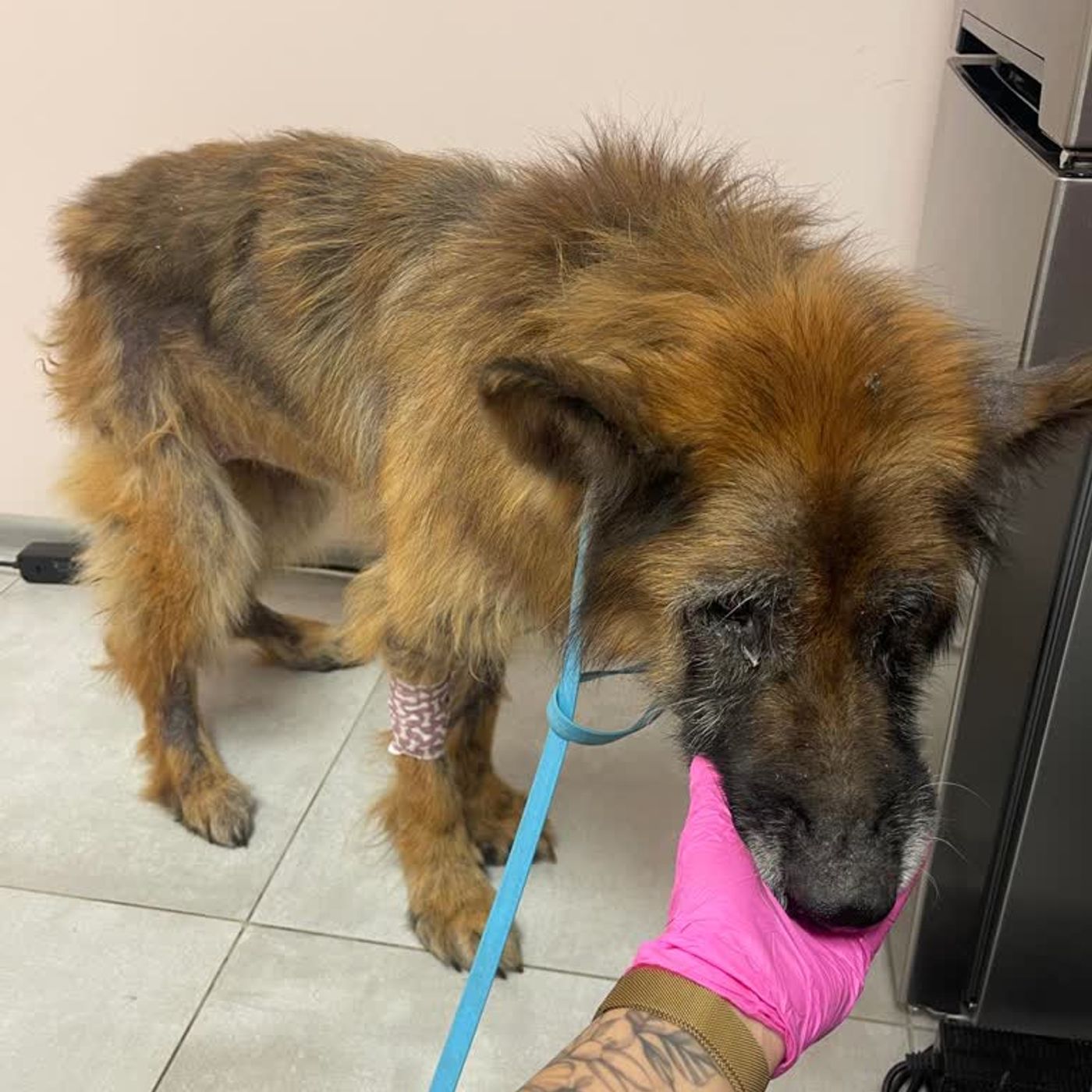 Studio reporterów Kukułcza 1