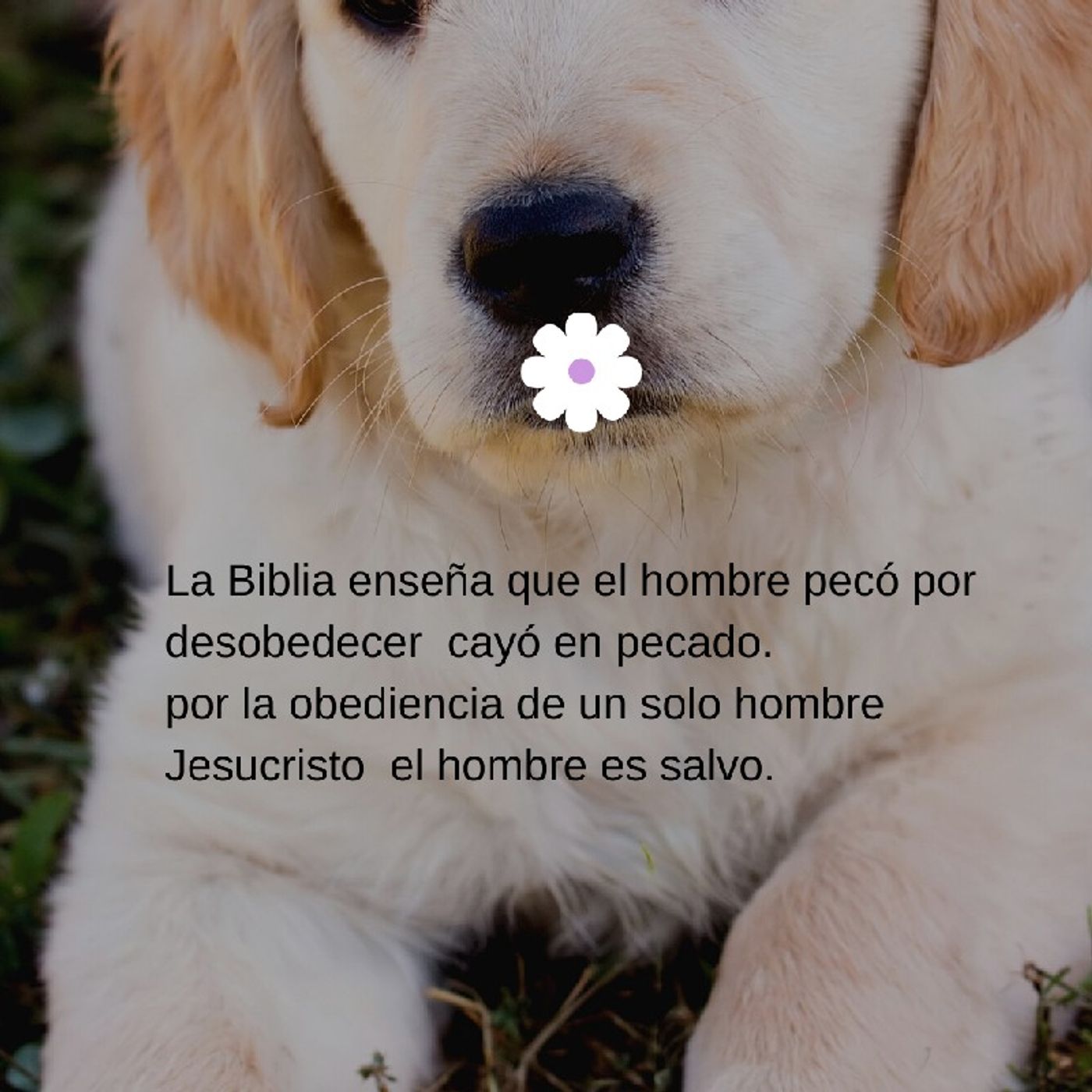 El Espiritu Santo Sana Hoy