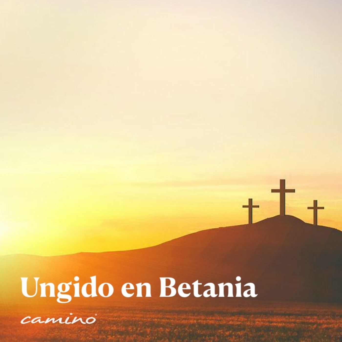 Oración 30 de marzo (Ungido en Betania) episode artwork