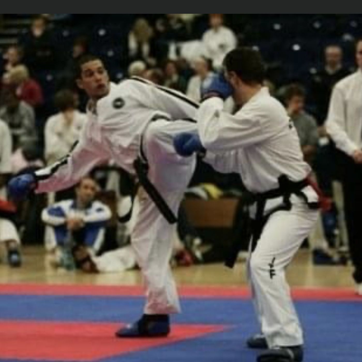 Black Belt Interviews