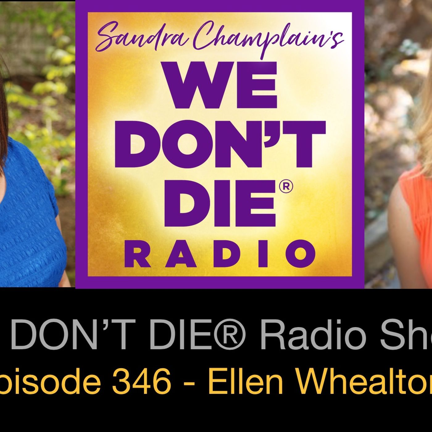 346  Ellen Whealton - from NDE to Passion for Healing with Music and Oils
