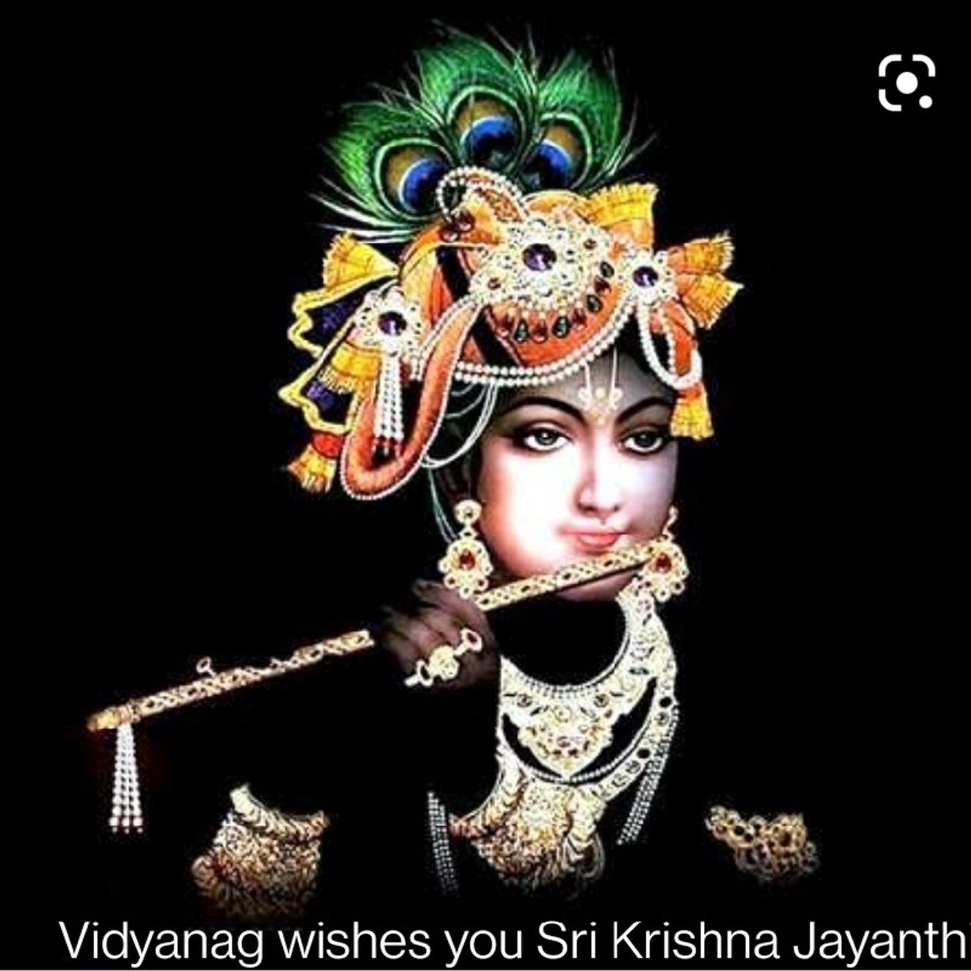 ವಿದ್ಯಾ ನಾಗ್ ದಿನನಿತ್ಯ ಕಲಿಕೆ