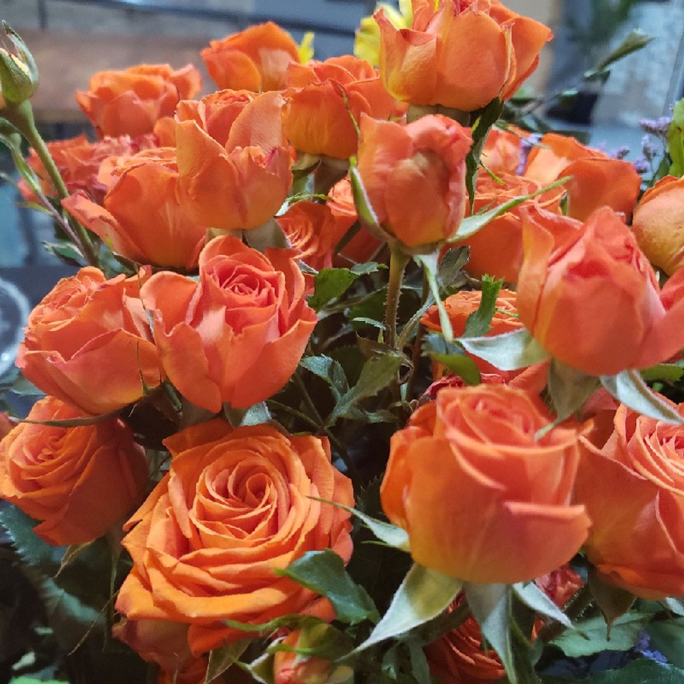 Pandora Pappas Psychic Medium