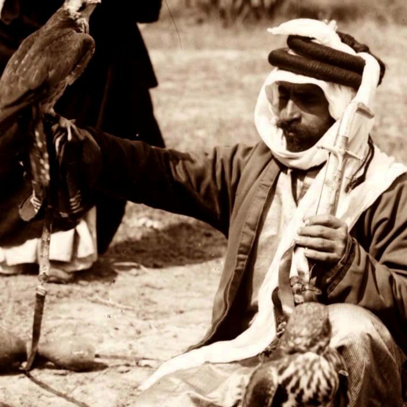 كفى بك داءً أن  ترى الموت شافياً كفى بك داءً أن  ترى الموت شافياً