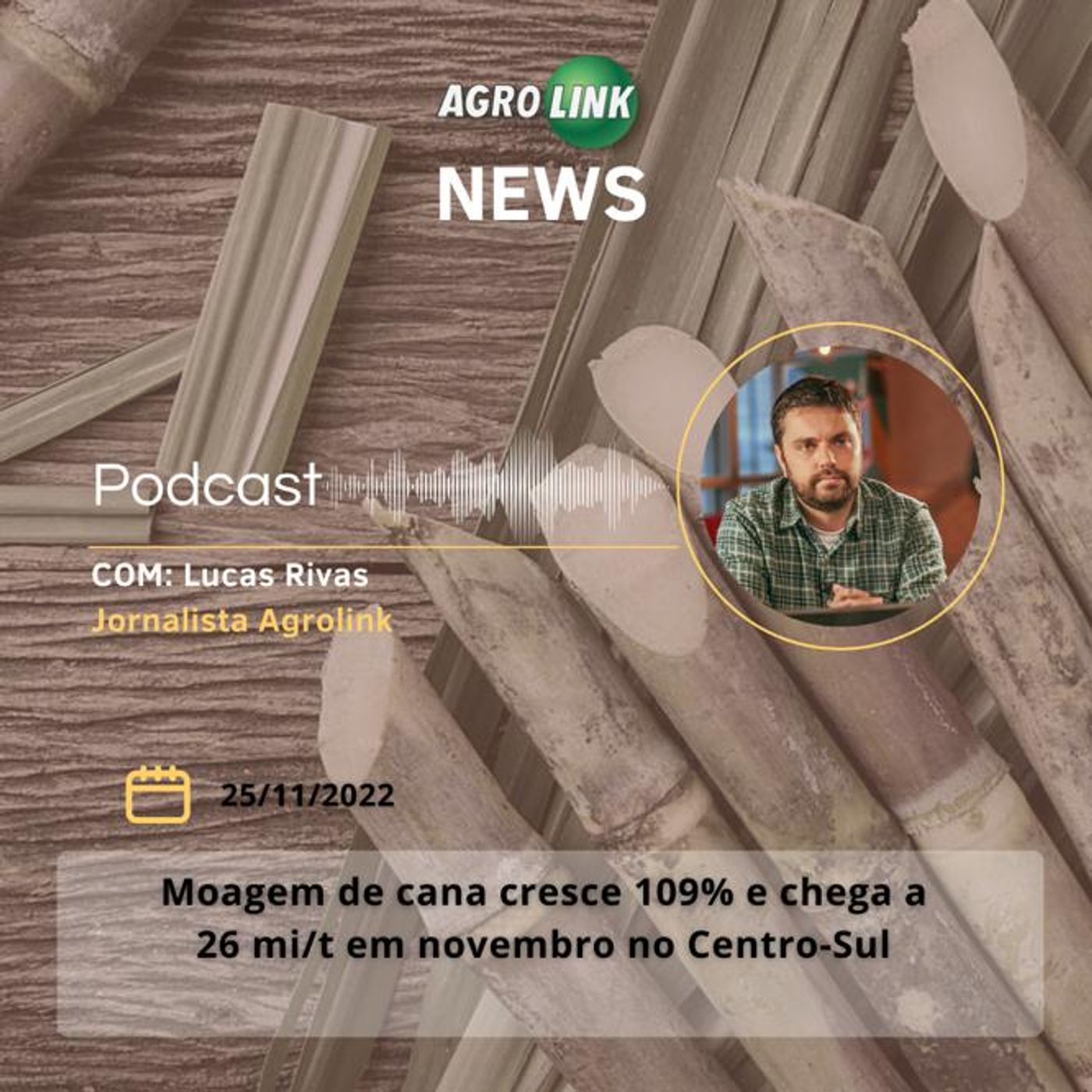 São Paulo atinge requisitos para dispensar vacinação contra aftosa episode artwork