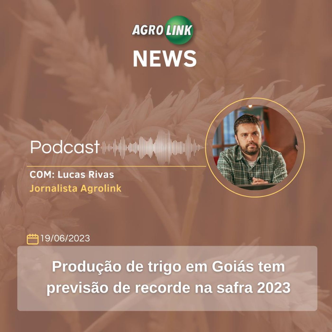 Exportações do agronegócio crescem 16% e alcançam recorde histórico em maio episode artwork