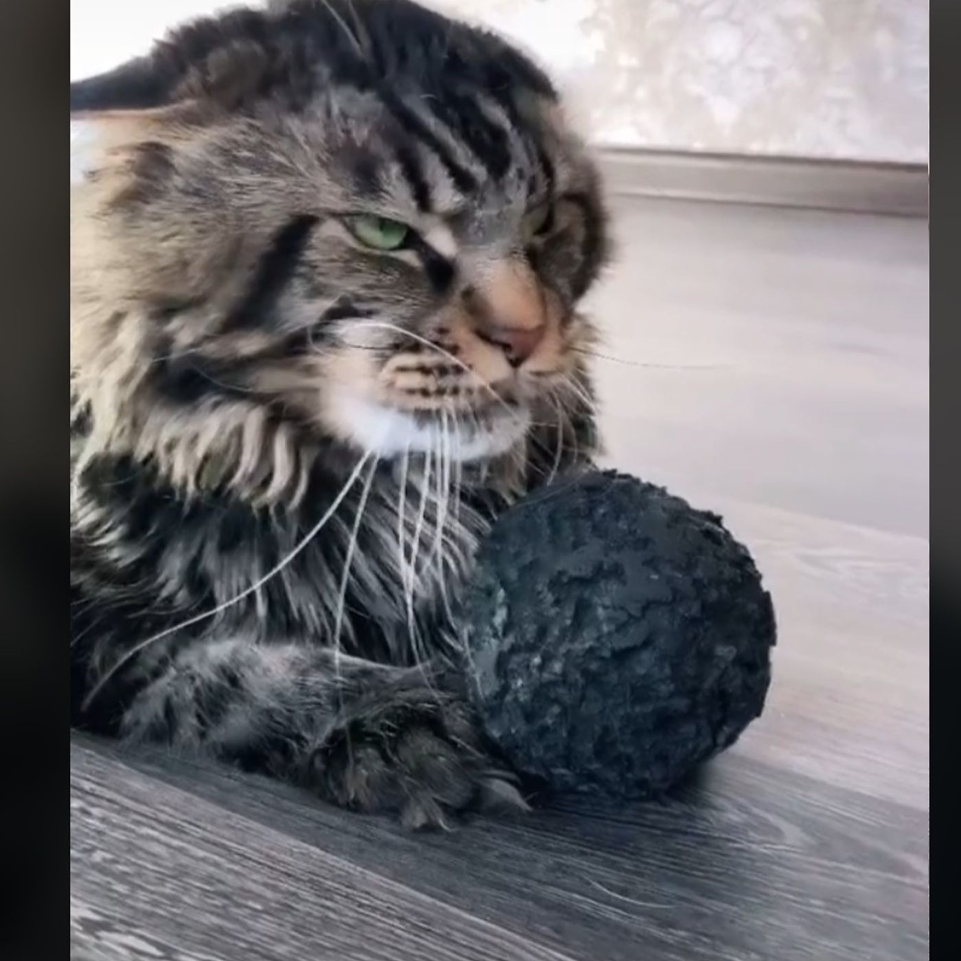 The Tactician's Companion ep1 Sleep