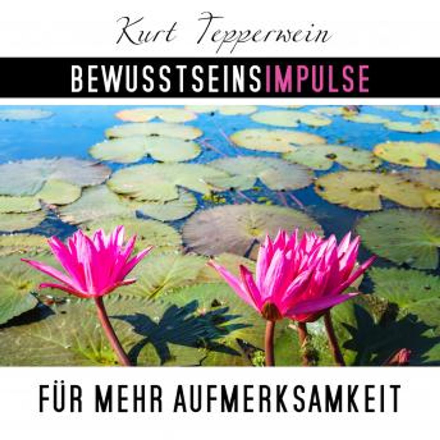 Listen to Top Full Audiobooks in Health & Wellness, Fitness, Diet & Nutrition