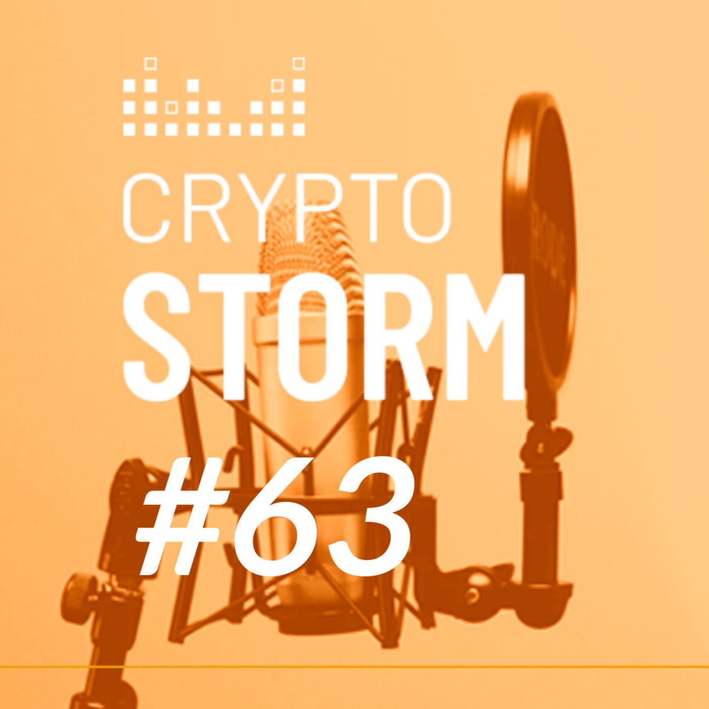 Crypto Storm
