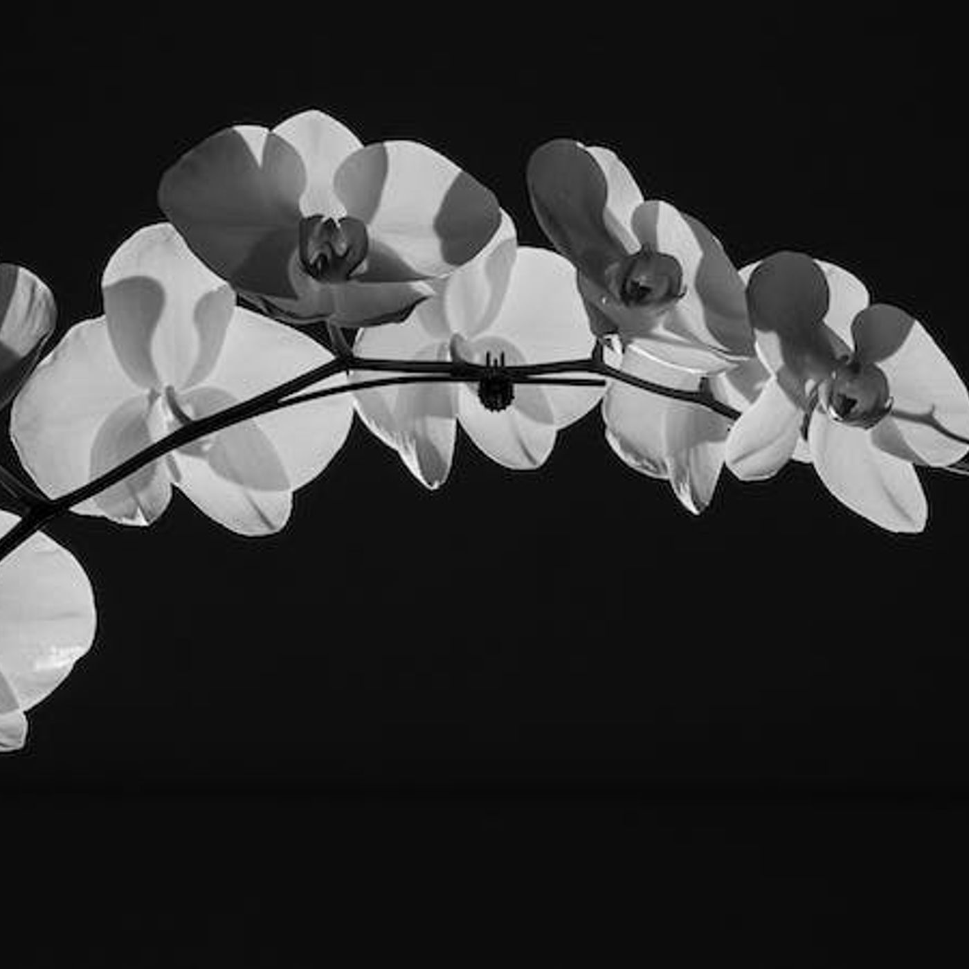 Why Would God Create a Baby to Live for Two Minutes?