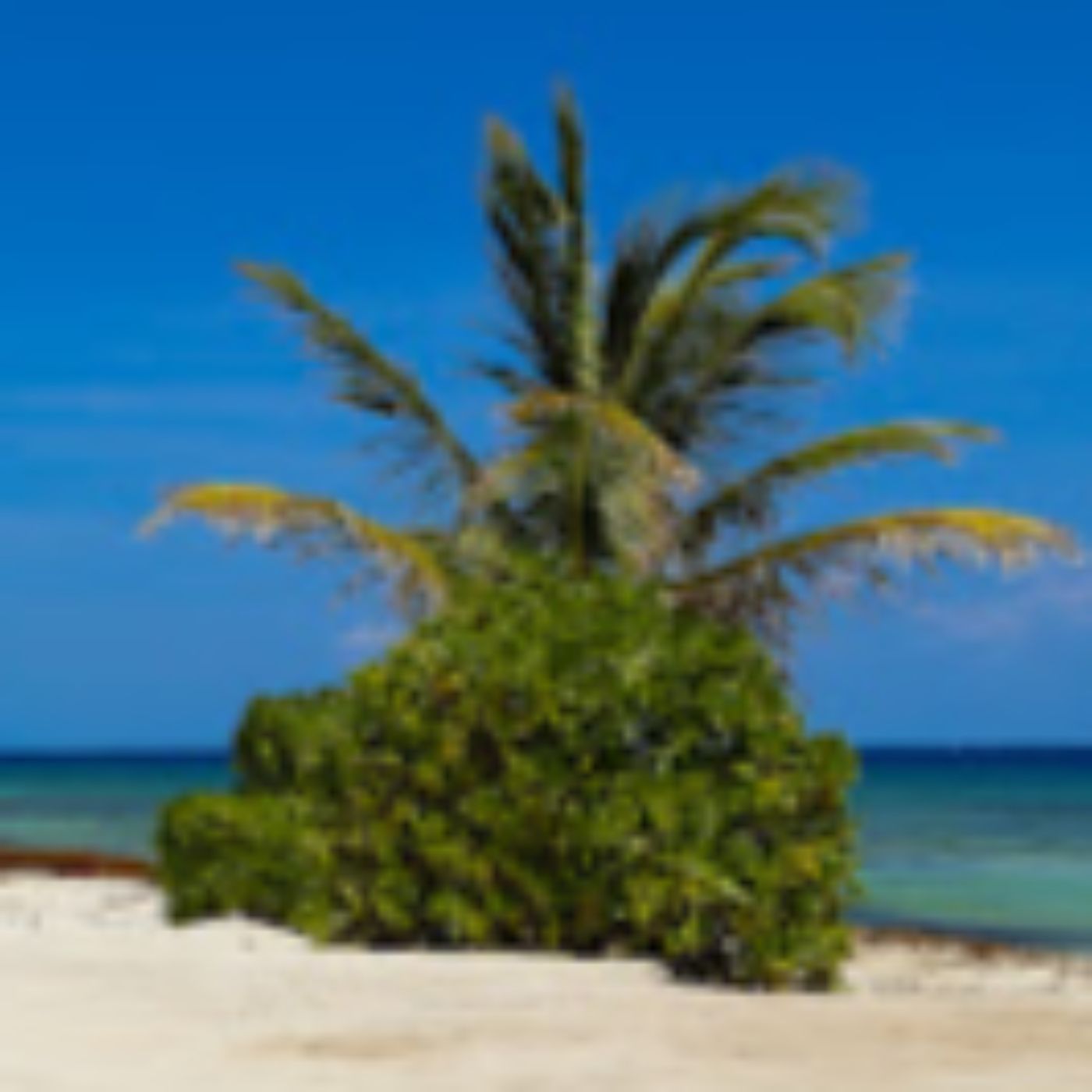 ZensoundFX: a library of relaxing sounds from nature cover art