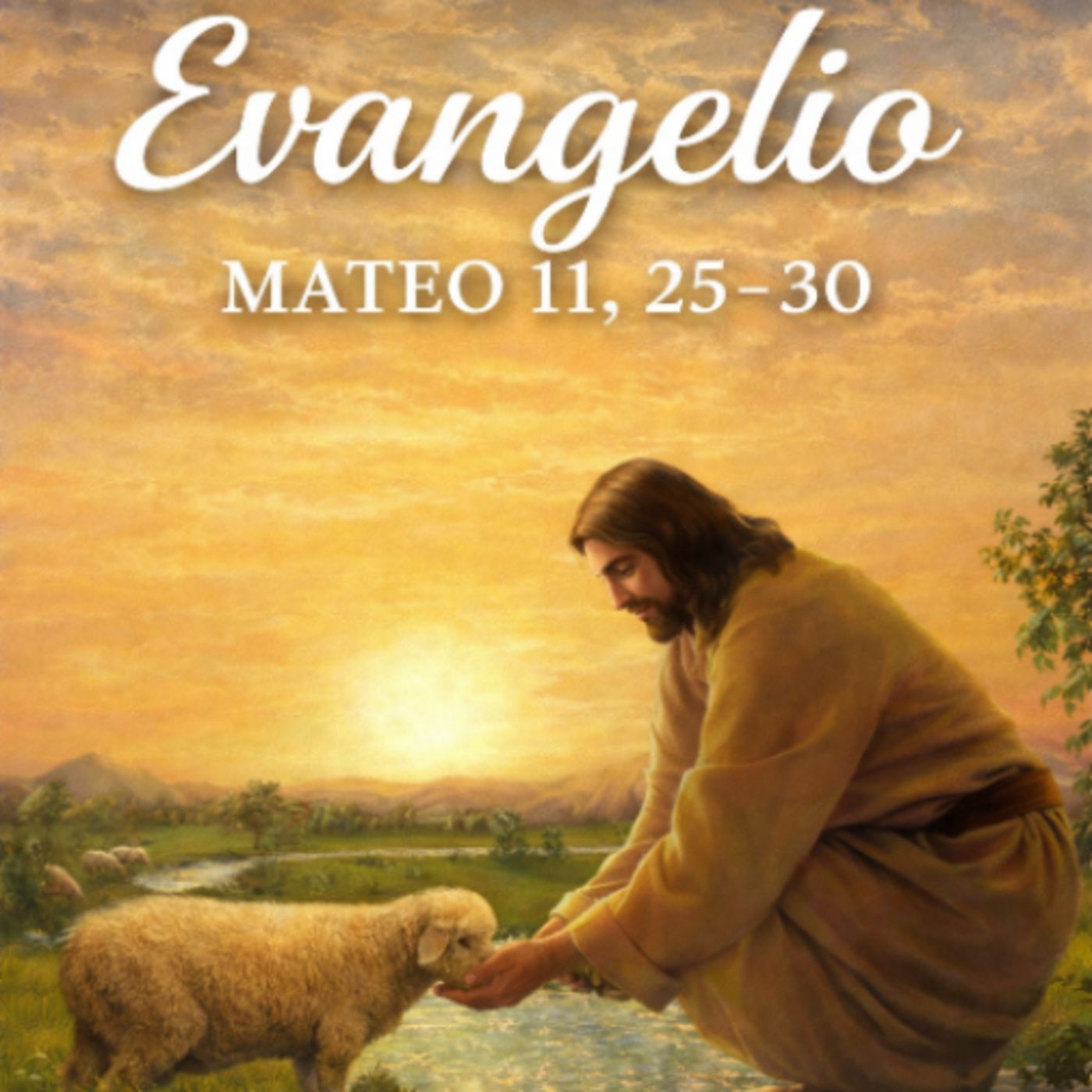 Evangelio Diario 5 de Julio Mons Enrique Diaz Diaz episode artwork