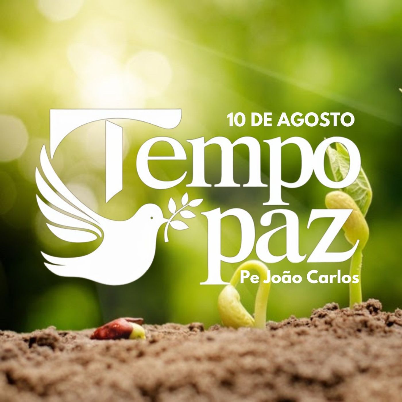 Pe. João Carlos - Meditação da Palavra