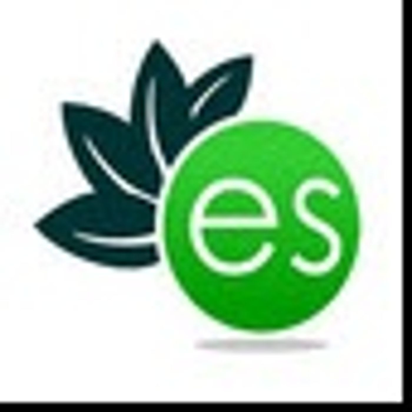 ElectricSense\'s - EMF Health Show