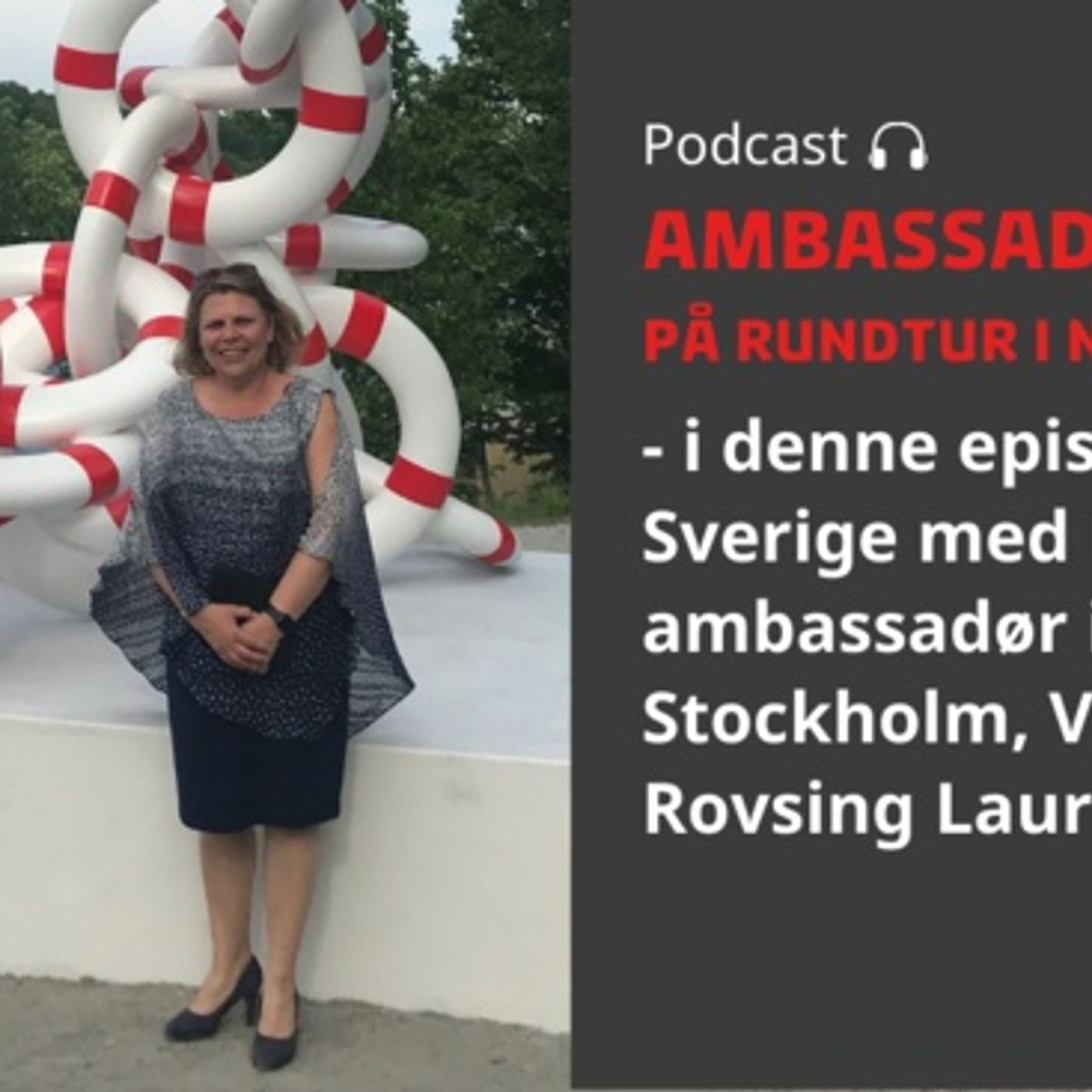 Ambassadørerne