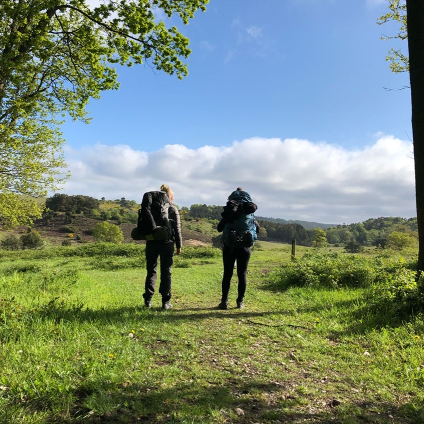 Vandring i Virkeligheden