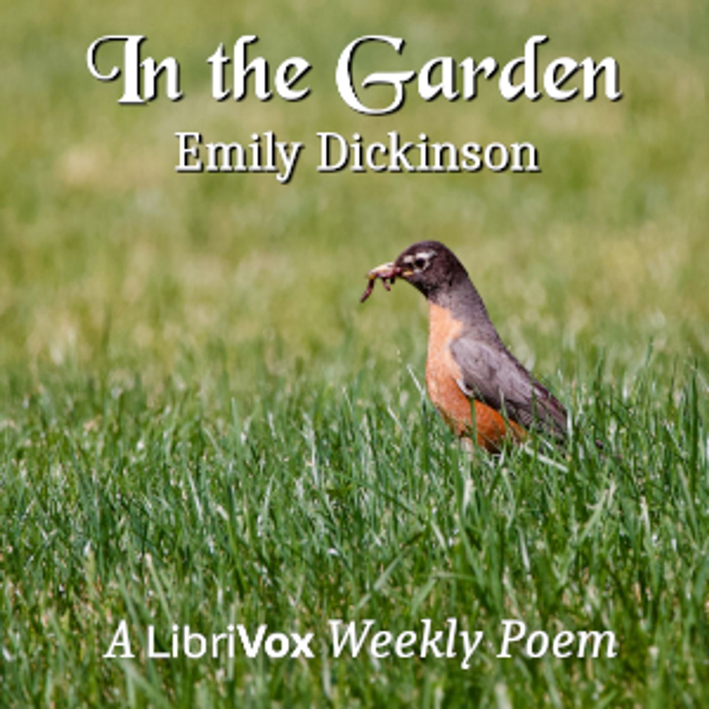 Emily Dickinson - In the Garden
