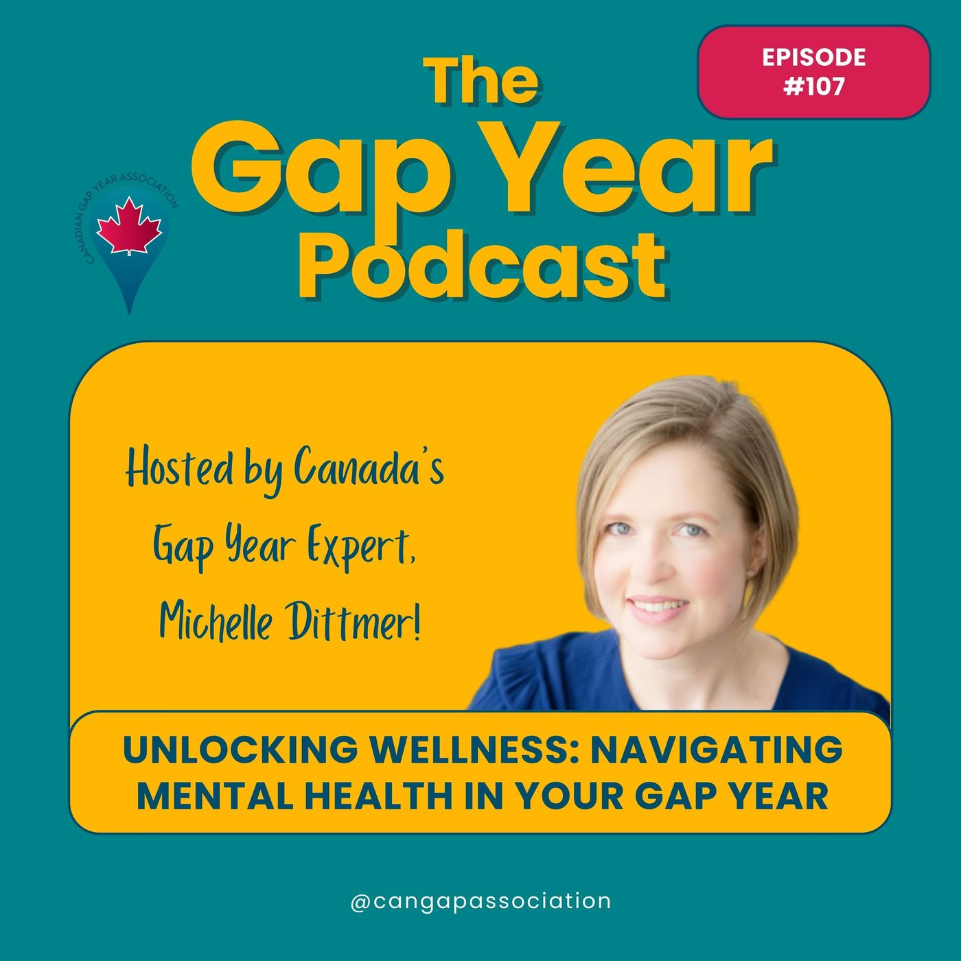 Unlocking Wellness: Navigating Mental Health in Your Gap Year episode artwork