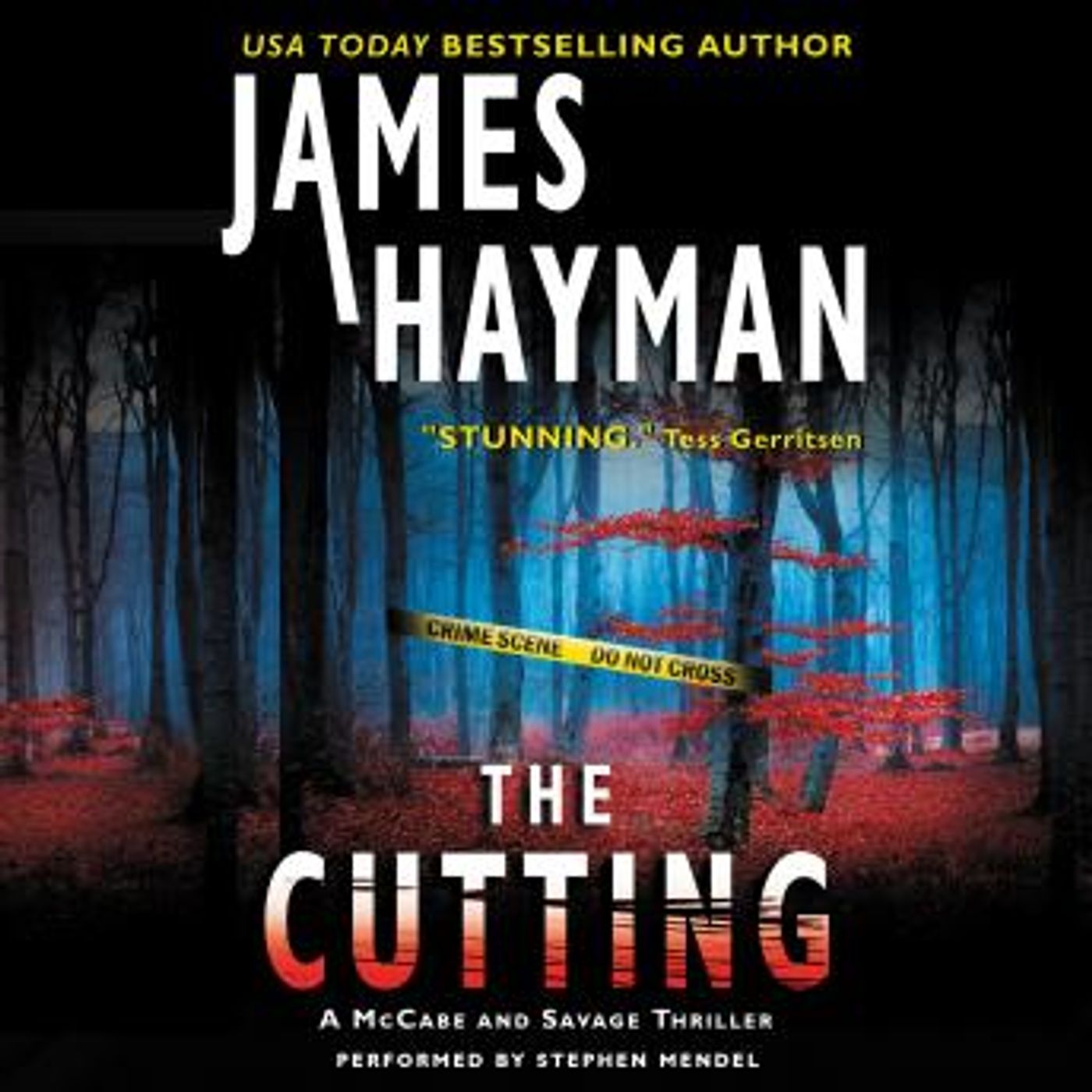 Listen to Full Audiobooks in Mystery, Thriller & Horror, Police & Detective