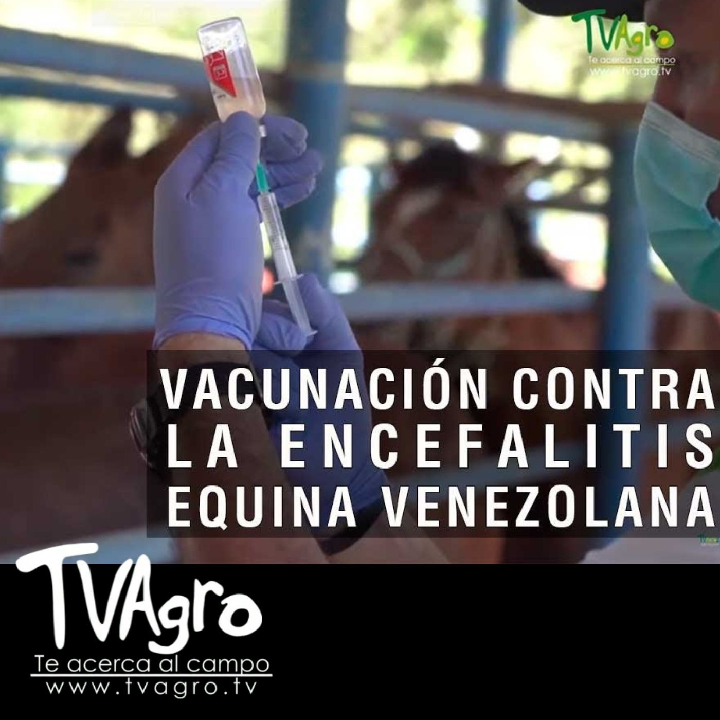 TV AGRO