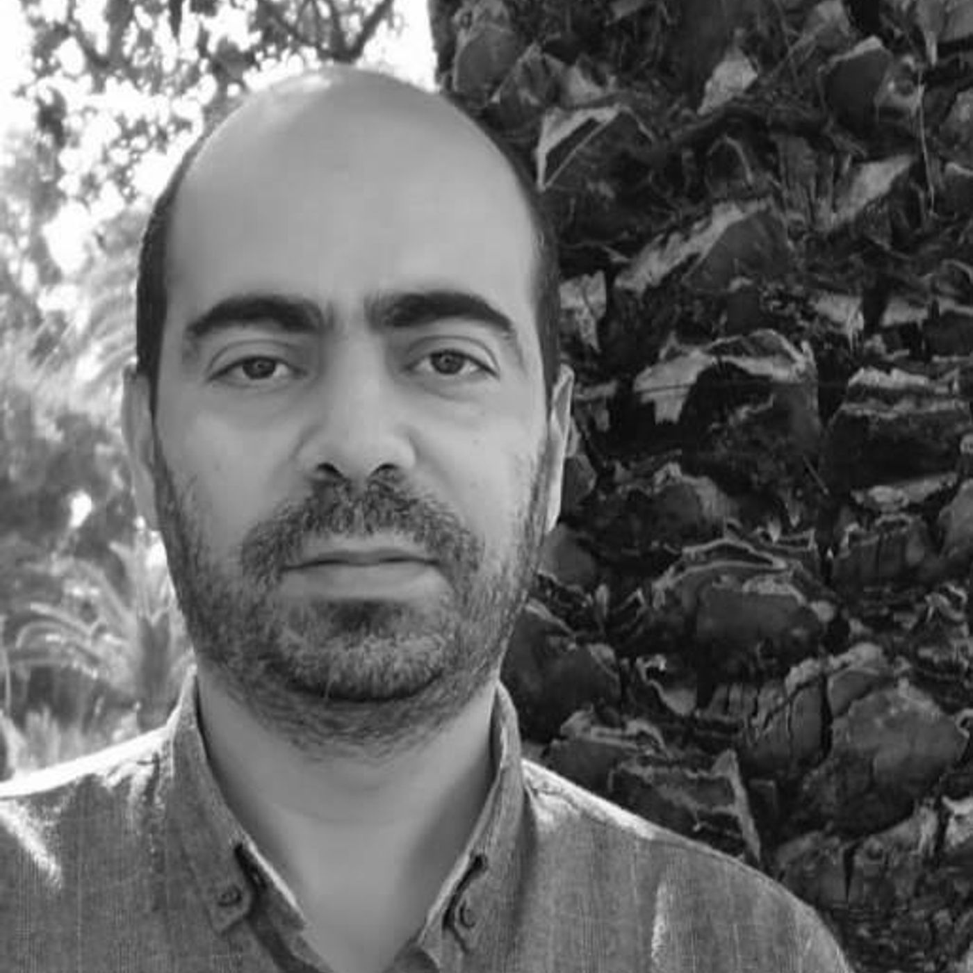 التراكوست: الأرض المحروقة والإبادة المقدسة للفلسطينيين | محمد سعيد احجيوج