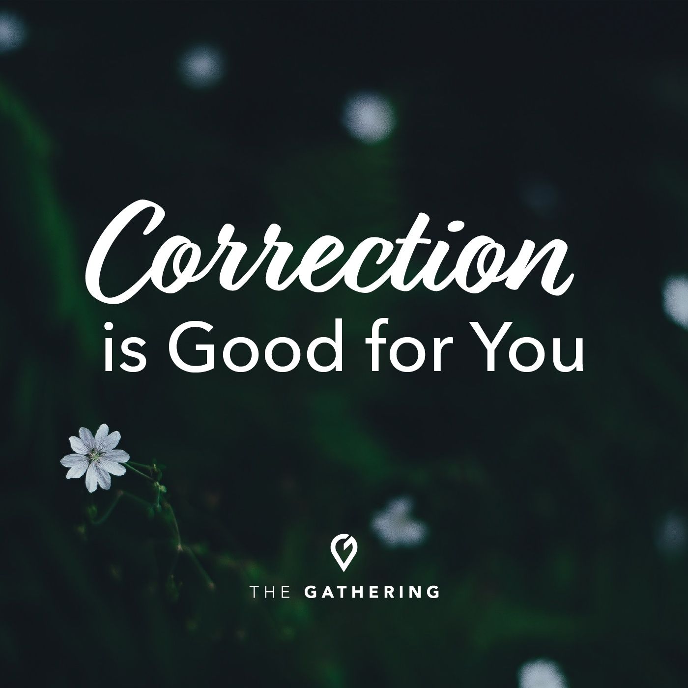 Correction is Good for You episode artwork