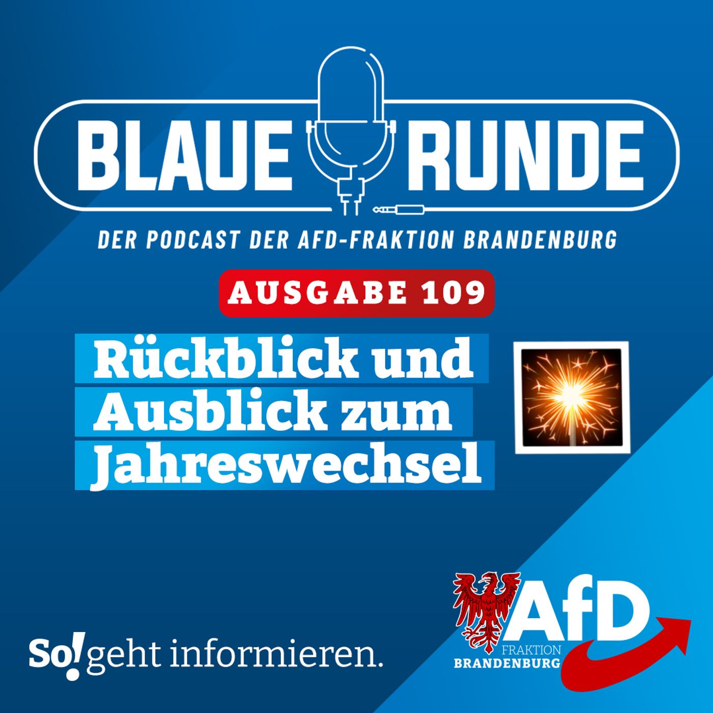 Rückblick und Ausblick zum Jahreswechsel | Die Blaue Runde, Ausgabe 109/23 vom 30.12.2023 episode artwork