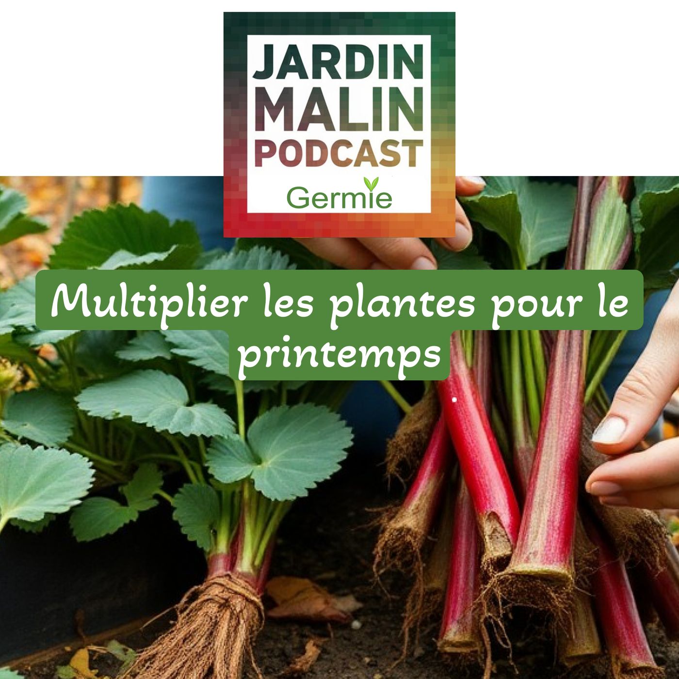 JARDIN MALIN by Germie