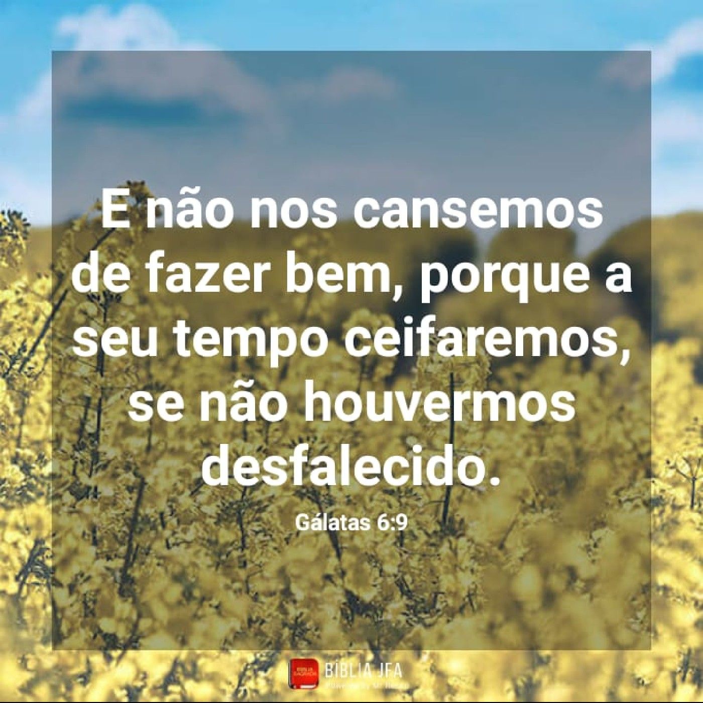 Poemas E Textos