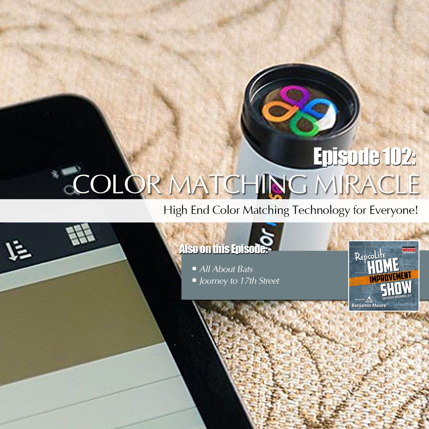 Episode 102: Journey to 17th Street, Dealing With Bats, The Color Muse