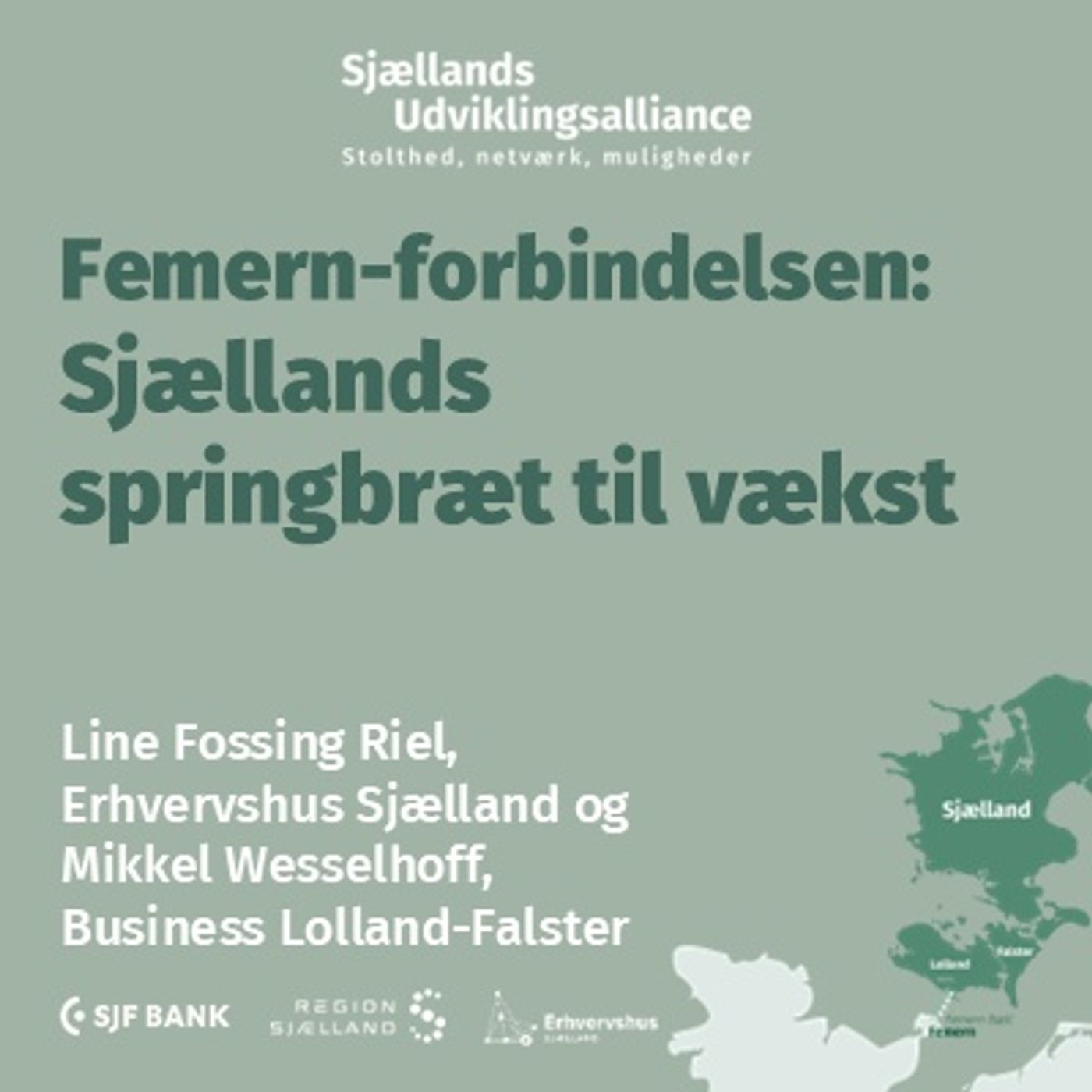 Femern-forbindelsen: Sjællands springbræ af Sjællands Udviklingsalliance