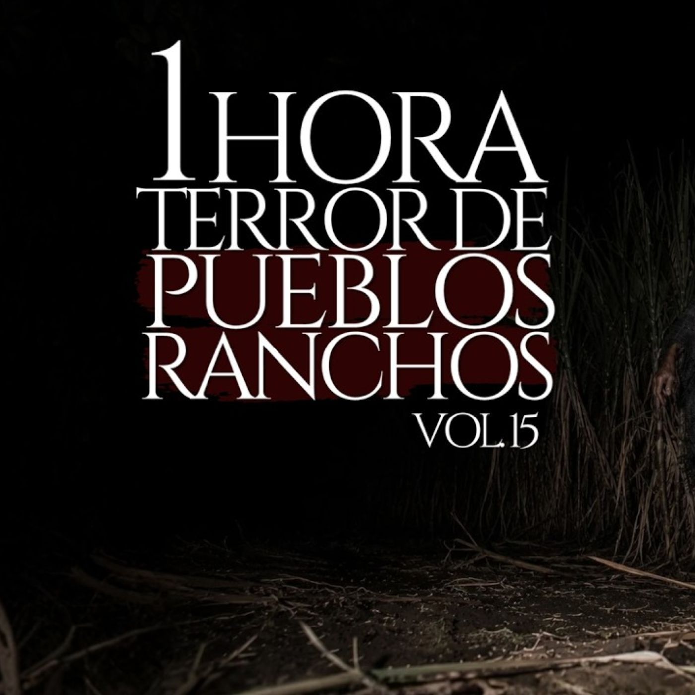 1 HORA DE PUEBLOS Y RANCHOS (RELATOS DE TERROR REALES EN CAMPO JAMÁS CONTADOS) VOL. XV episode artwork