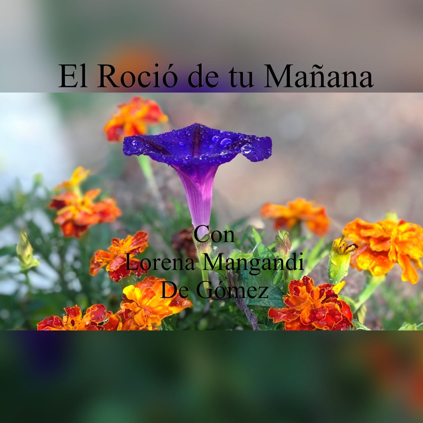 El Roció De Tu Mañana Con Lorena Mangand