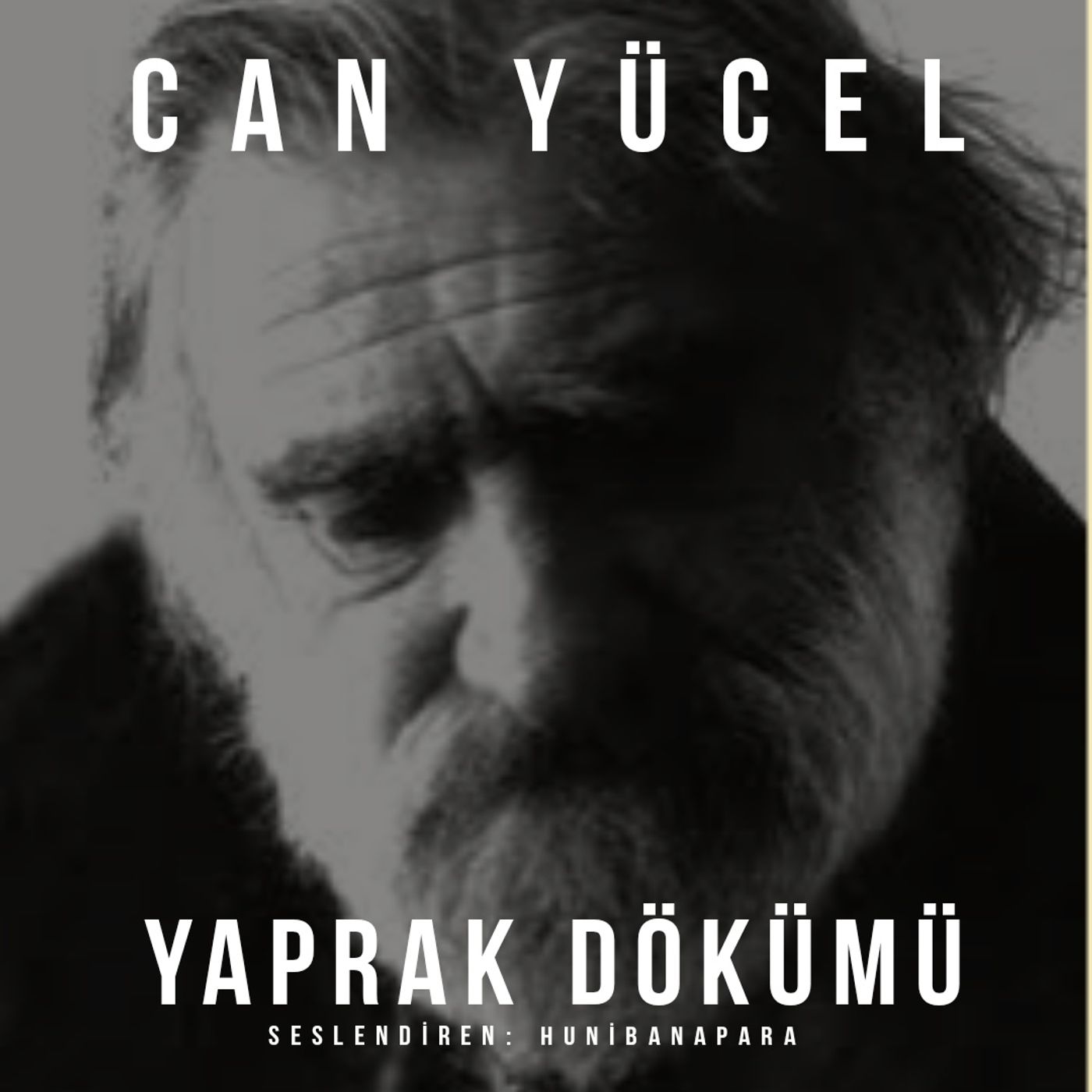 Şiirler ve Hikayeler