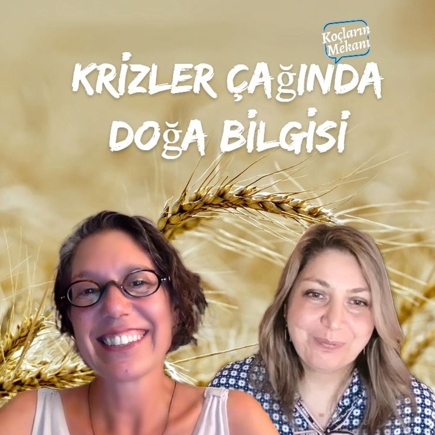 Koçların Mekanı